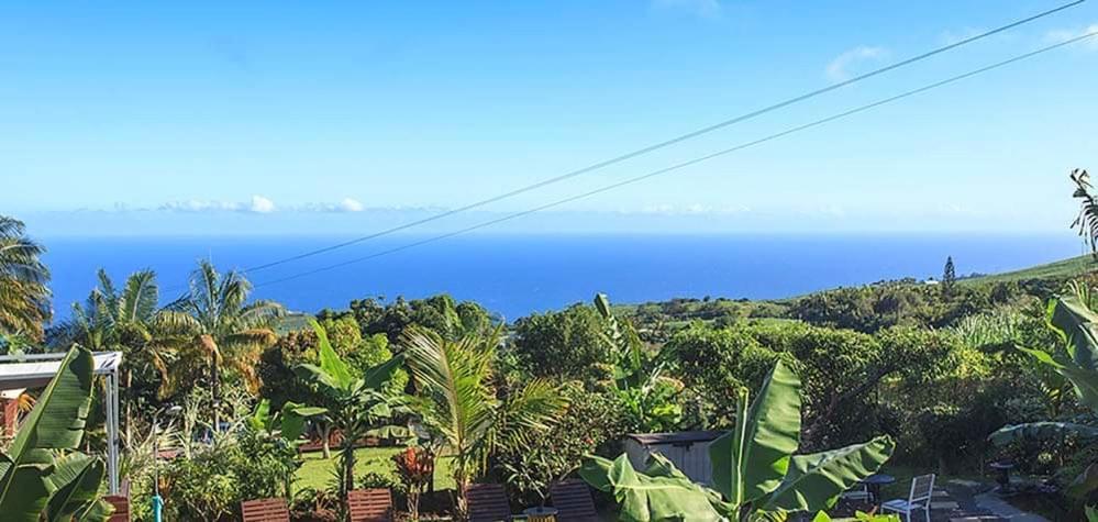 L'Escapade Creole Jacuzzi Privatif Bungalow Bananier Saint-Joseph Kültér fotó